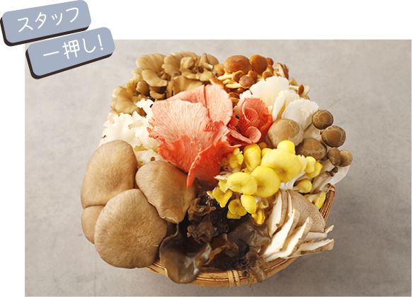 スタッフ一押し！